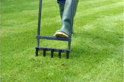 When Should I Aerate My Lawn UK (Why + How) - Dream Lawns