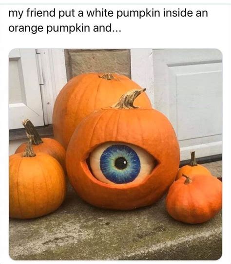 100 Today’s Most Funny Memes | Halloween, Pumpkin, Pumpkin carving