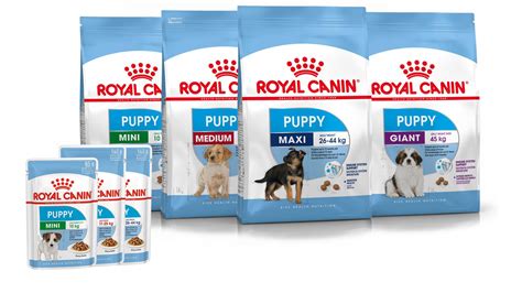 Royal Canin Maxi Puppy Food Feeding Chart - Puppy And Pets