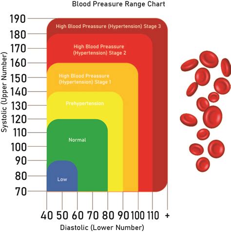 Blood Pressure Chart - 20 Free PDF Printables | Printablee