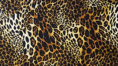 Leopard Print Wallpapers HD Free Download | Leopard print wallpaper ...