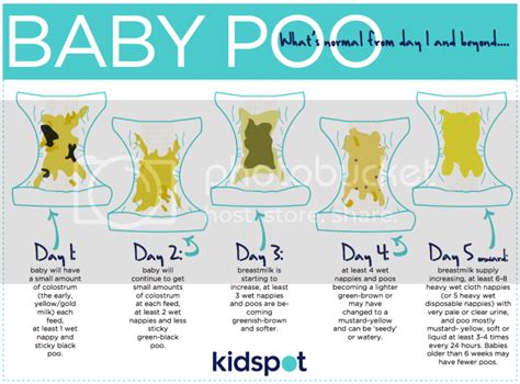 Breastfed Baby Poop Chart