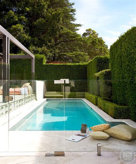 Lush pool Glass fence Hedge fencing | Backyard pool, Pool landscaping ...