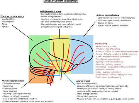 Anterior Cerebral Artery Stroke Symptoms