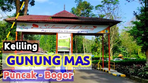 Wisata Gunung Mas, Puncak-Bogor || Liburan dimasa pandemi - YouTube