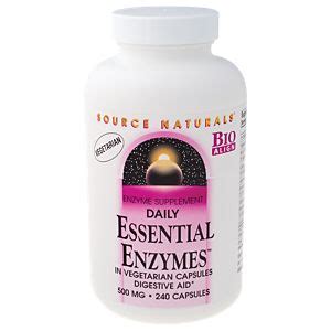 Essential Enzymes 500 MG (240 Vegetarian Capsules) by Source Naturals ...