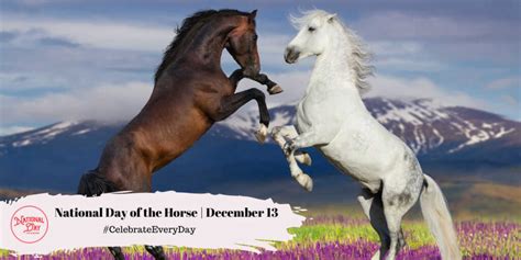 NATIONAL DAY OF THE HORSE - December 13 - National Day Calendar