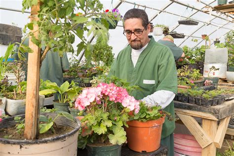 Room to Bloom: Crowley Greenhouse Teaches Inmates Patience, Job Skills