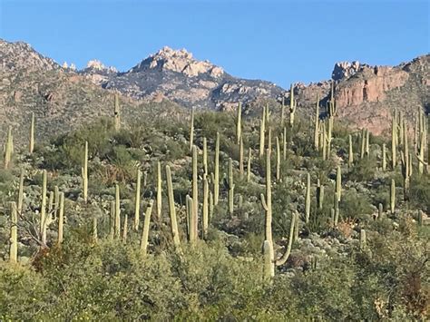 Sabino Canyon Landscape | Quiet Moon Photography