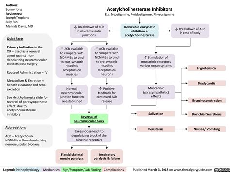 Acetylcholinesterase Inhibitors | Calgary Guide