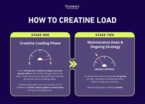 How to Creatine Load for Maximum Muscle Gains – Ultimate Nutrition