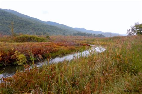 Important Bird Areas in Vermont | Audubon Vermont