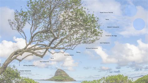 Nakasone Family Tree by Lokelani Higa