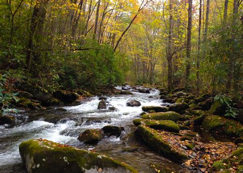 10 Best Fall Hikes Smoky Mountains | Autumn Hiking Guide: Smoky ...