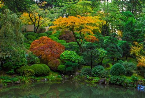 Japanese Garden, Portland Oregon - November 1-st 2014. Autumn Colors in ...