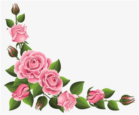 Pink Rose Border PNG Image