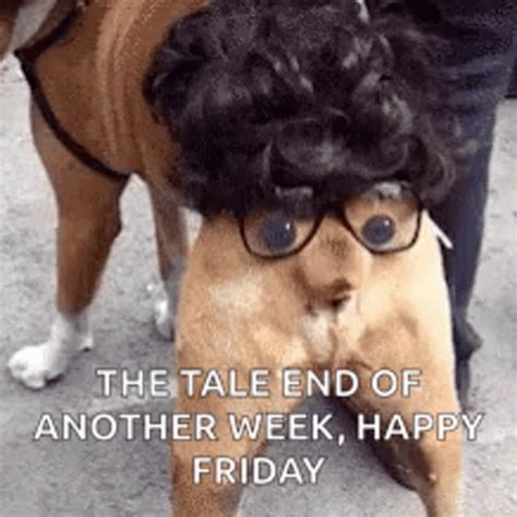 Friday Eve Meme Gif