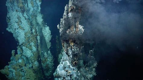 Scientists Discover Three New Hydrothermal Vent Fields on Mid-Atlantic ...