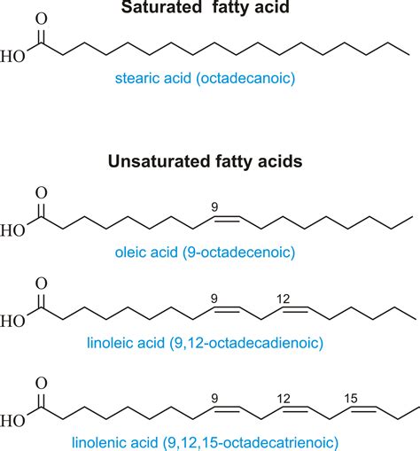 Fatty Acid Chart