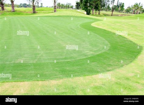 Golf courses green grass Stock Photo - Alamy