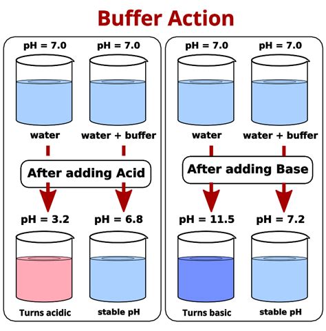 Buffer Solutions: Principle and Mechanism of their Action - PSIBERG