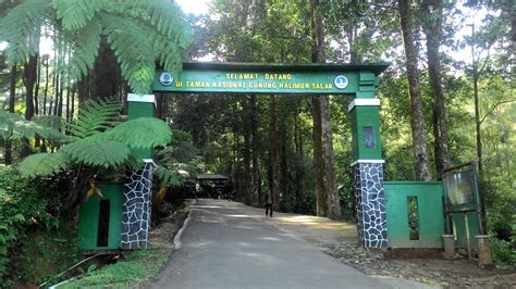 6 Hutan Wisata di Indonesia yang Sejuk dan Sajikan Pemandangan Indah