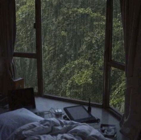 forest aesthetic | rainy day | studying on window sill | 🌲🪴🌿🌧️ ...