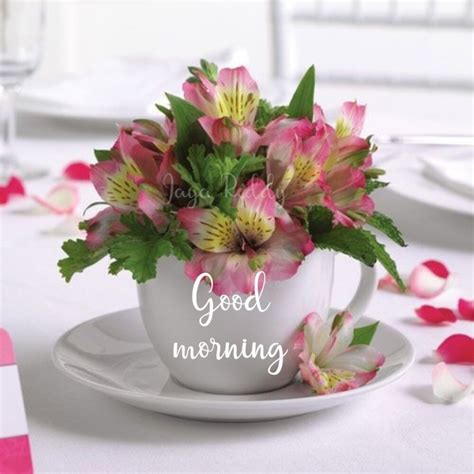 Good Morning Picture With Flowers - DesiComments.com