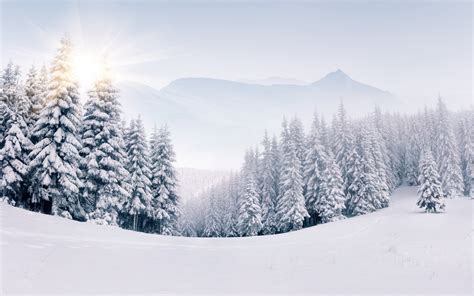 Free photo: Snow Landscape - Landscape, Mountains, Sheep - Free ...