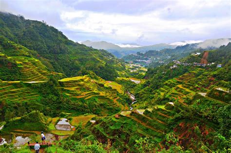 Banaue Rice Terraces - Nehru Memorial