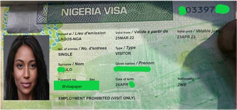 Nigeria Visa On Arrival - How To Apply Online - Visa Blog