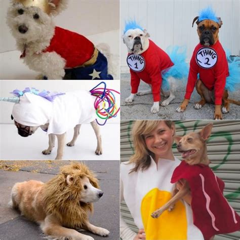 Homemade Dog Costumes - 15 DIY Costumes for your Dog