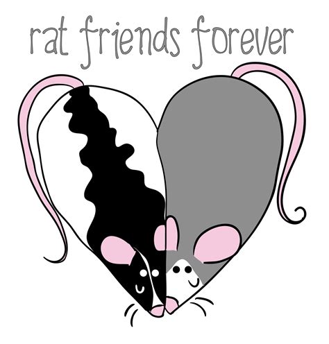 Rat friends forever by Faesiatko on DeviantArt