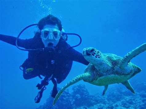 Scuba Diving Spots in Cebu - City Village News