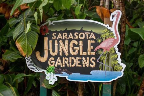 A Sarasota Jungle Gardens Trip Guide • AuthenticFlorida.com