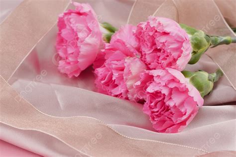 Mother S Day Carnation Flower Photography Picture Background, Mother S ...