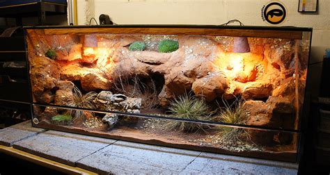 Diy Bearded Dragon Enclosure Cheap - DIY Custom Bearded Dragon ...