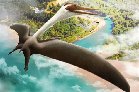 Quetzalcoatlus, the largest flying animal of all time | Earth Archives