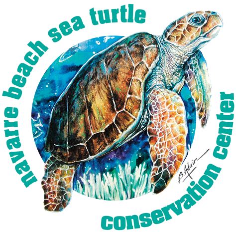 Navarre Beach Sea Turtle Conservation Center | Mightycause