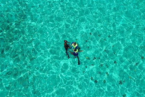 Roatan 3 Stops Snorkeling: Shipwreck, Starfish & Blue Channel - Roatan ...