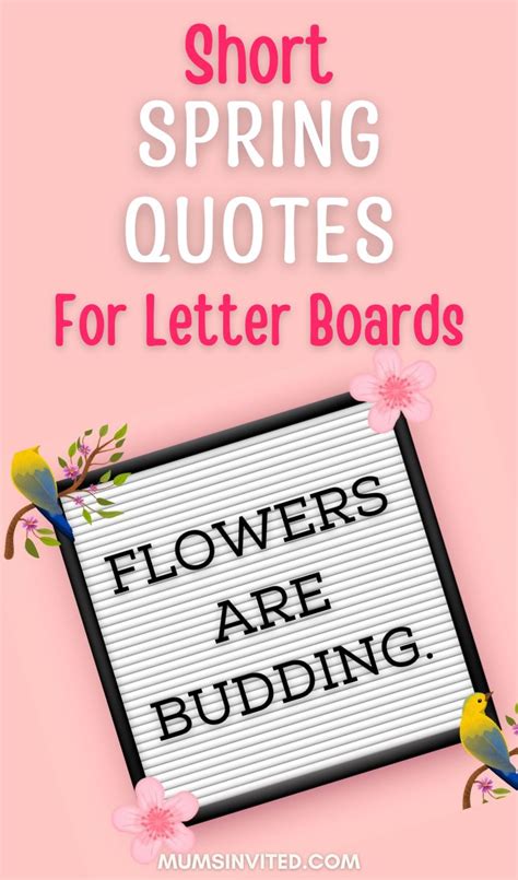 180+ Spring Letter Board Quotes - Mums Invited