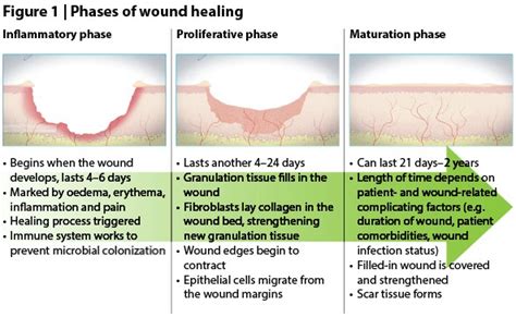 Photos Of Wound Healing Stages