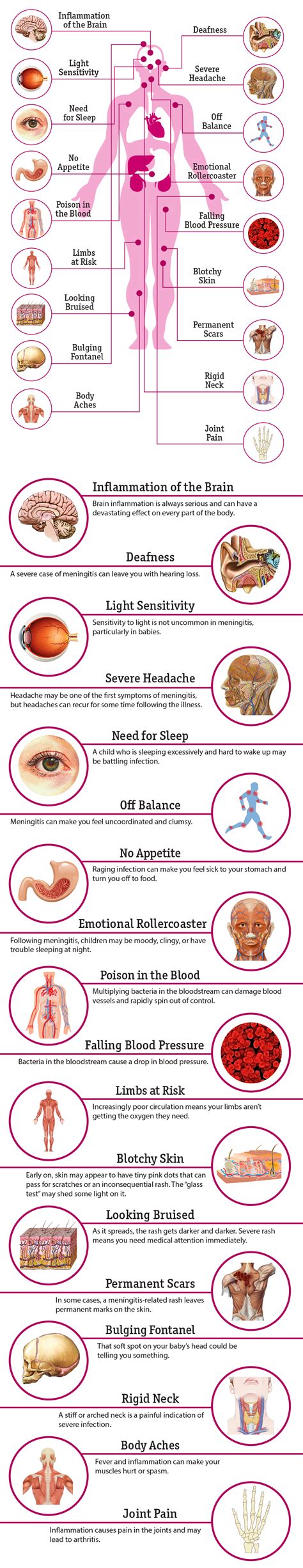 18 Effects of Meningitis on the Body