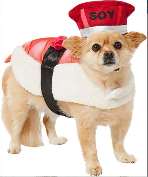 Best Costumes For Shiba Inus! - My First Shiba Inu