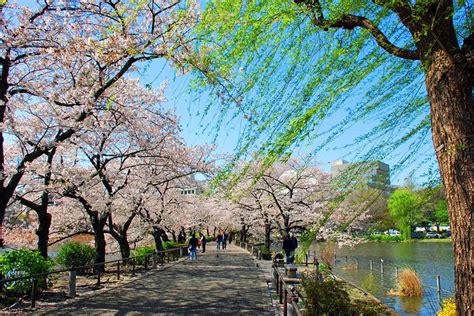 Tourist Spot Of Japan