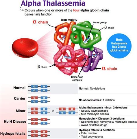 Alpha And Beta Thalassemia : MBBS Medicine (Humanity First): Important ...