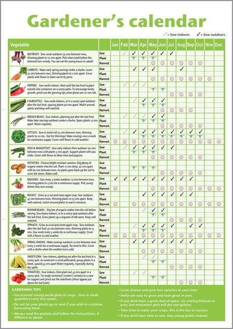 Homemade* A3 novice gardener's/beginner's vegetable growing gardening ...