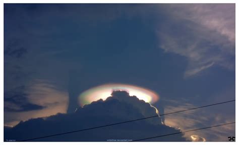 pileus.cloud by wildnfree on DeviantArt