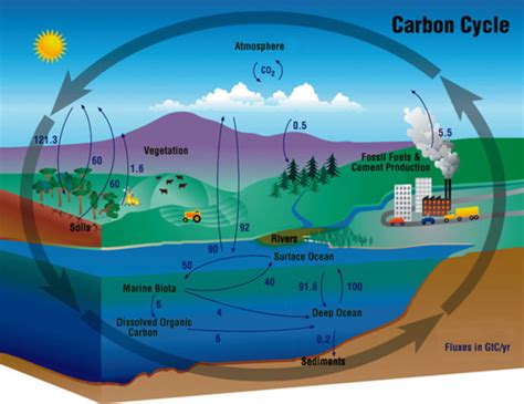 Climate Change, Global Warming, Greenhouse Gas Reduction ...