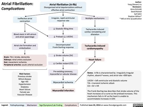 AFib-Complications.jpg